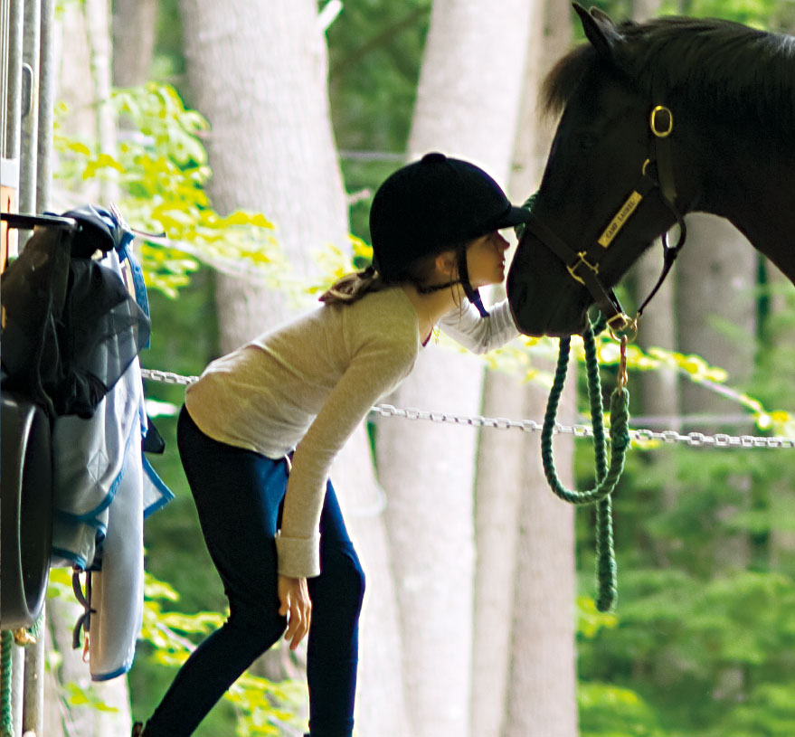 Camp Laurel - 7주 여름캠프, 메인주에 위치